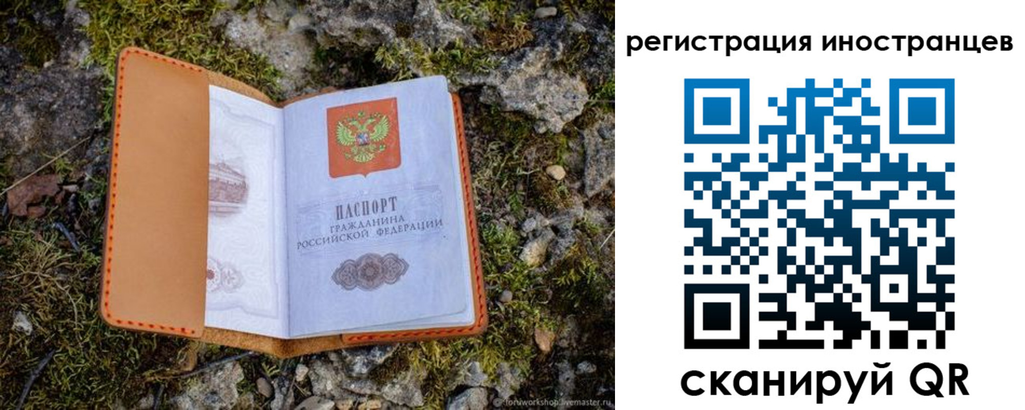 прописка паспорт в Сосенском